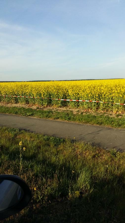 Natur-Freude-19P Kotzen Buitenkant foto